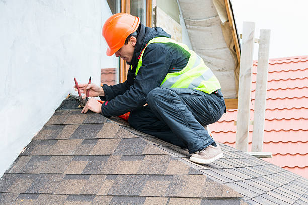 Best Roof Gutter Cleaning  in Crozet, VA